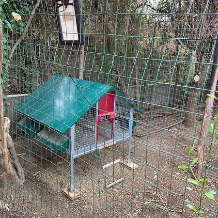 Domek alpejski Olivarelle *
